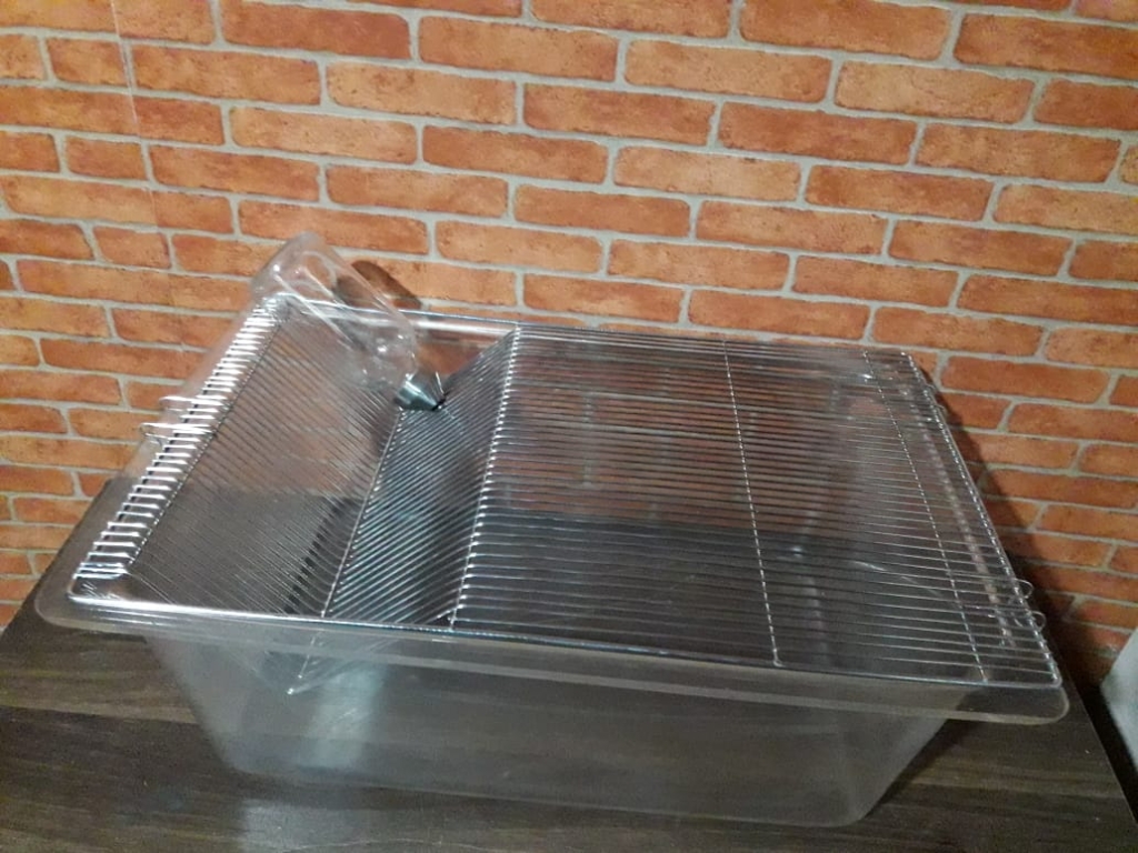 Mice cages for research labs