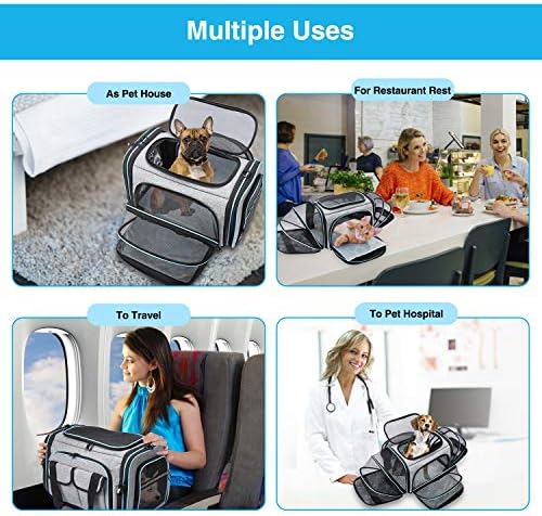 Airline Approved Pet Carrier 1