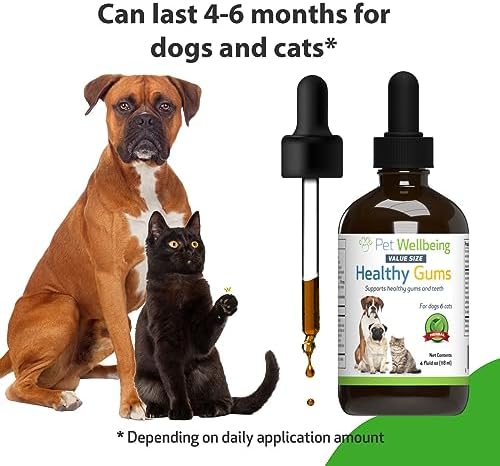 Healthy Gums for Dogs & Cats