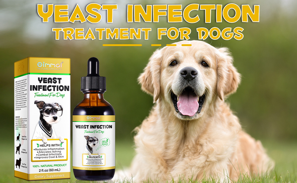 Infection Treatment for Dogs