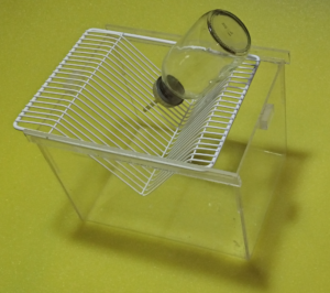 Single Mice Cage